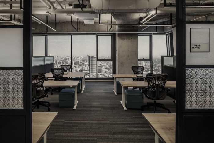 The Neuronetis workspace